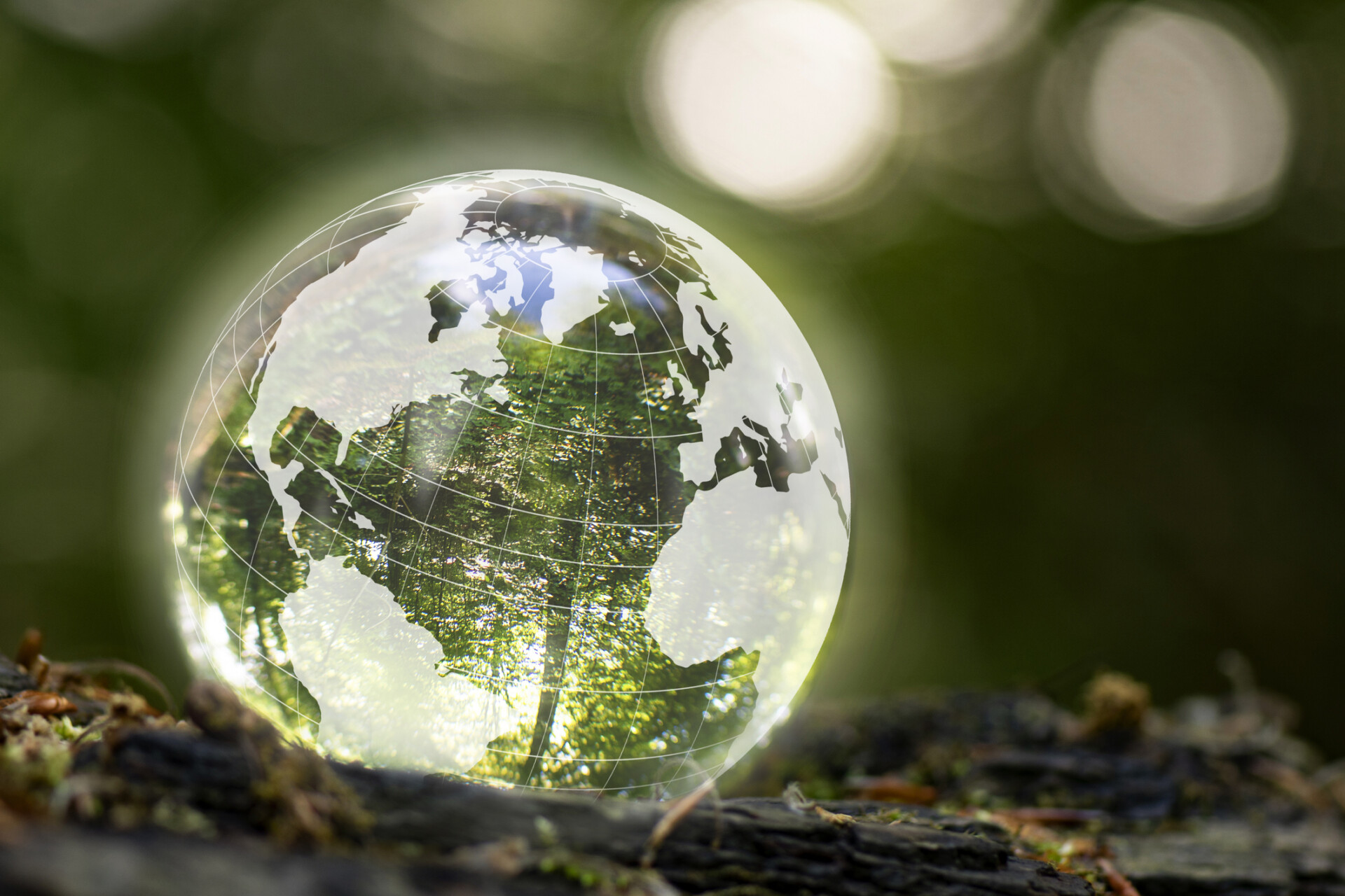 Enviroment and Sustainability